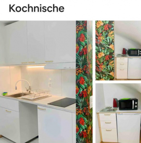 25m2 Studio with Kitchen in Zürich